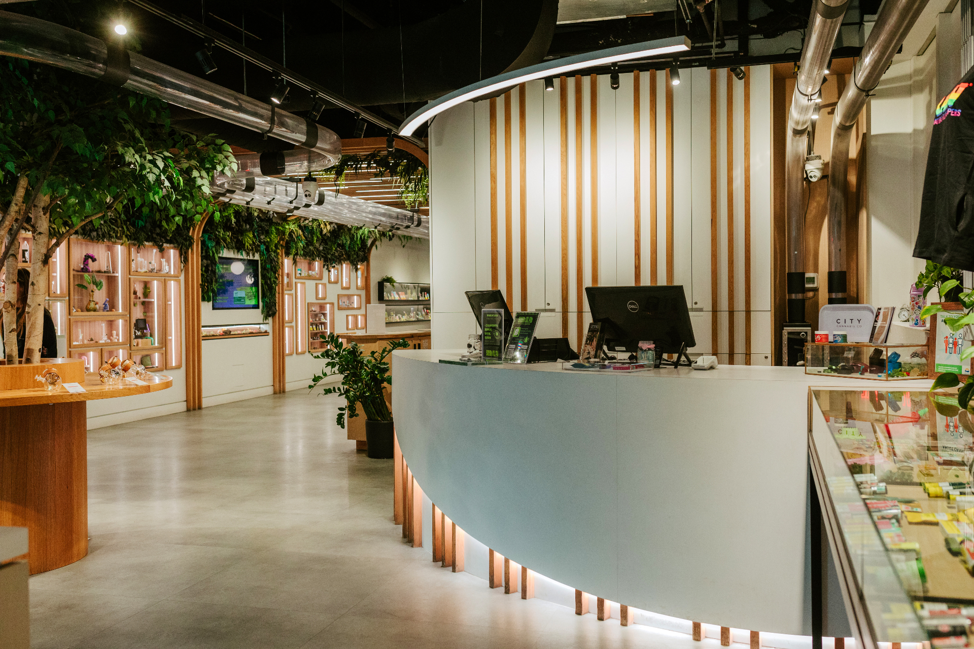 City Cannabis Co. Robson Street flagship sales floor with curved service counter, wood-arched displays and greenery