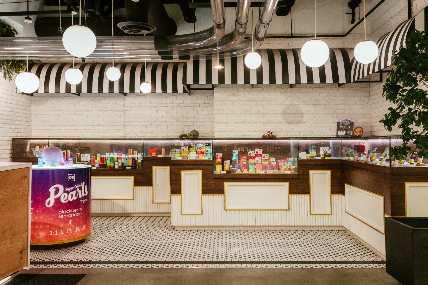 City Cannabis Co. Robson Street flagship retail floor with tiled mosaic and product cases