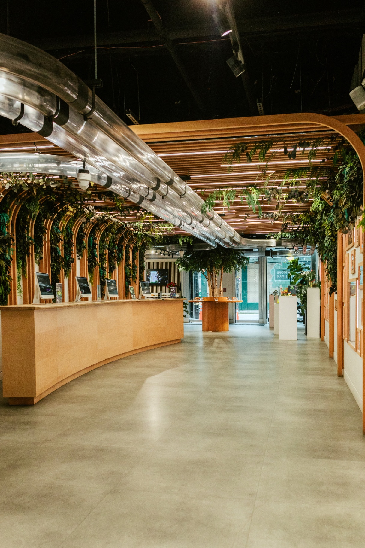 Interior of the City Cannabis Co. Robson Street flagship retail floor with arched wood and greenery